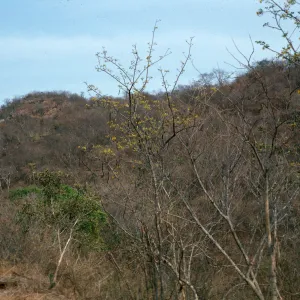 Mazatlan-Durango Highway, Mexico