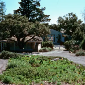 Groundcover display, Research Wing, Library, and Courtyard
