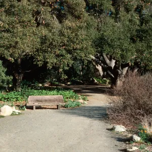 Santa Barbara Botanic Garden