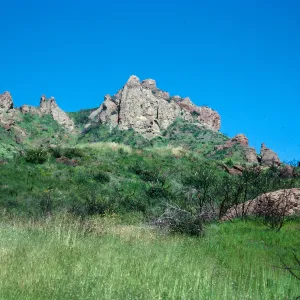 North of Encinal Canyon, Santa Monica Mountains, Los Angeles County 