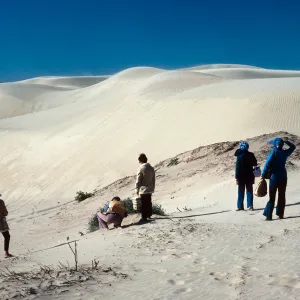 bare dunes near Oso Flaco Lake, Oceano Dunes State Park, San Luis Obispo County