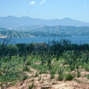 burn at Lake Cachuma, just East of road to Bradbury Dam Observation Point, Santa Barbara County