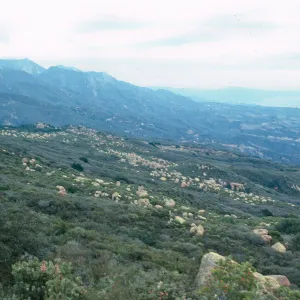 view of Santa Barbara, from West Camino Cielo