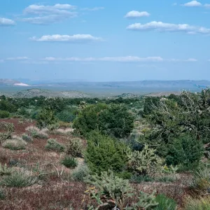Lanfair Valley, Keystone Canyon Road, New York Mountains, Mojave National Preserve, San Bernardino County