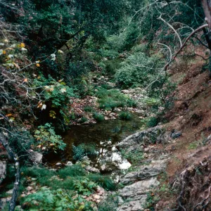 Big Falls Canyon Trail, Lopez Canyon, Santa Lucia Mountains, San Luis Obispo County