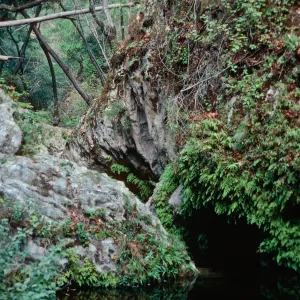 Big Falls Canyon Trail, Lopez Canyon, Santa Lucia Mountains, San Luis Obispo County