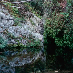 Big Falls Canyon Trail, Lopez Canyon, Santa Lucia Mountains, San Luis Obispo County