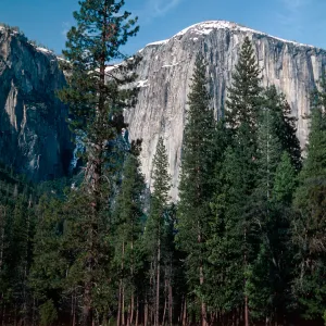 across from Bridal Veil Falls, Yosemite National Park, Mariposa County