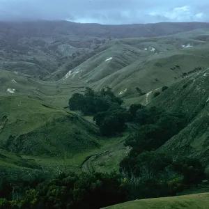 Scorpion Canyon, Santa Cruz Island