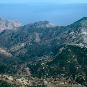 Laguna Canyon, Santa Cruz Island