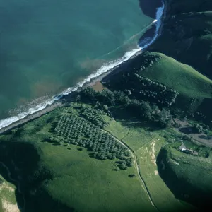 Smugglers Cove, Santa Cruz Island