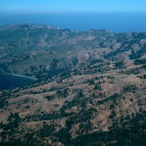 North side of Prisoners Harbor, Santa Cruz Island