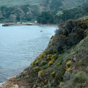 view of Prisoners Harbor, Santa Cruz Island