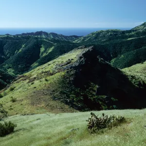 Central Valley from trail to Peak 1848 East, Santa Cruz Island
