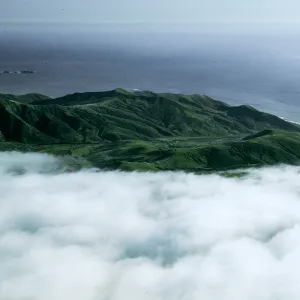 Pozo Canyon area, w/fog, Santa Cruz Island