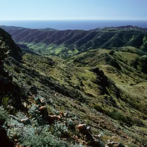 Stanton Ranch from trail to Peak 1848 East, Santa Cruz Island