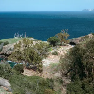 Pelican Bay, Santa Cruz Island