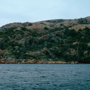 rockslide area, between Pelican Bay & Prisoners Harbor, Santa Cruz Island