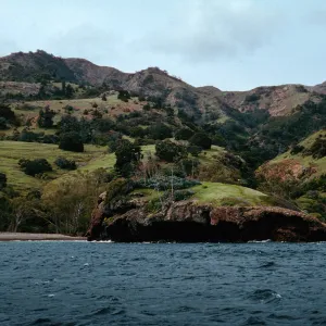 Tinkers, Pelican Bay, Santa Cruz Island