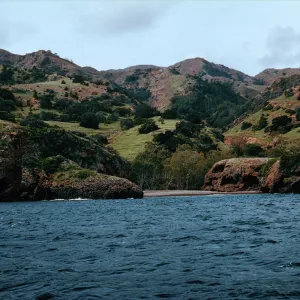 Tinkers Bay, Santa Cruz Island