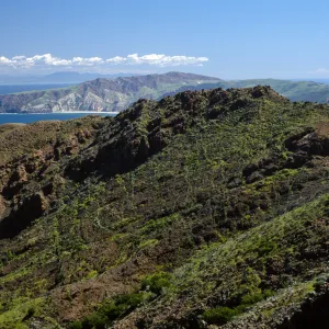 China Harbor from near Peak 1848 East, Santa Cruz Island