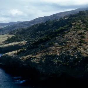 view of Orizaba Flats, Santa Cruz Island