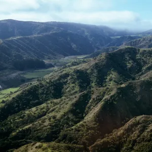 Central Valley, looking West from Islay, Santa Cruz Island