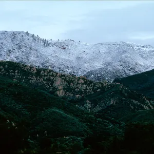 snow on Santa Ynez Mountains, East slope, Santa Barbara Botanic Garden