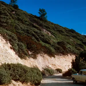 Chaparral, East Cuesta ridge, San Luis Obispo County