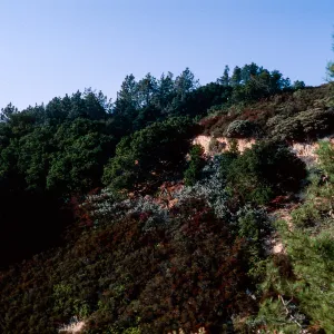 East Cuesta ridge, San Luis Obispo County