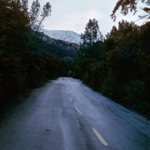 snow on Santa Ynez Mountains, Mission Canyon Road, Santa Barbara County