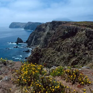 East Anancapa Island--bluffs on S. side