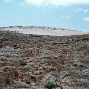 San Clemente Island--NW dunes