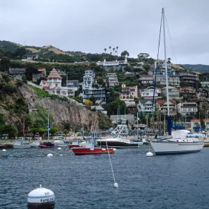 Santa Catalina Island, Avalon