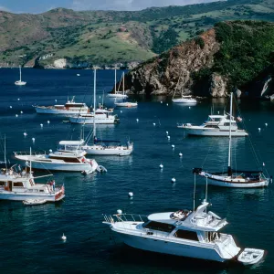 Santa Catalina Island, Cherry Cove