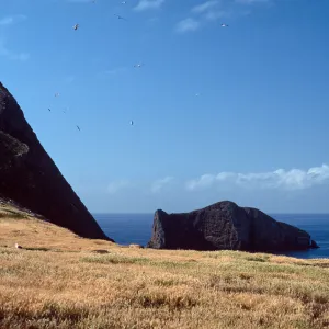 Santa Barbara Island, Sutil Island view