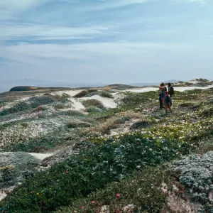 Dunes above East Cuyler Harbor, San Miguel Island