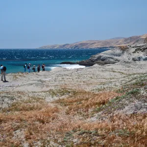 Field study group, Santa Rosa Island, S of East Point
