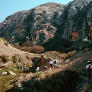 Lobo Canyon, Santa Rosa Island