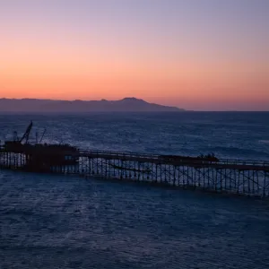 cattle drive at dawn, Vail Ranch, Santa Rosa Island