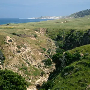 Water Canyon, Santa Rosa Island