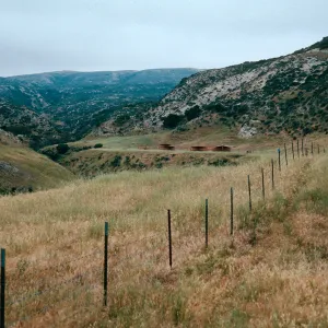 campground, Water Canyon, Santa Rosa Island