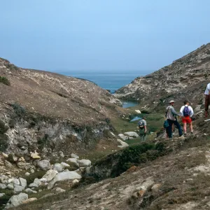 lower CaÃ±ada Lobos, Santa Rosa Island