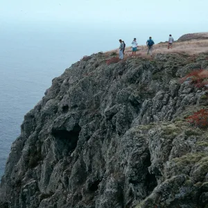 bluffs, East of West Point, Santa Cruz Island