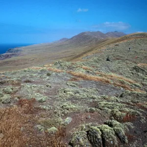 West Point ridge, looking West, Santa Cruz Island