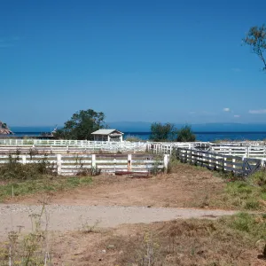 Prisoners Harbor, Santa Cruz Island