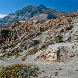 hills, just West of Punta Arena - Sierra Blanca in background, Santa Cruz Island