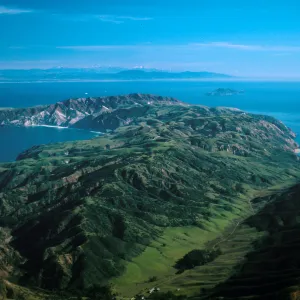 Central Valley, Santa Cruz Island