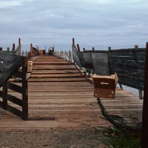 pier under repair, Prisoners Harbor, Santa Cruz Island