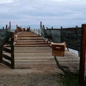 pier under repair, Prisoners Harbor, Santa Cruz Island